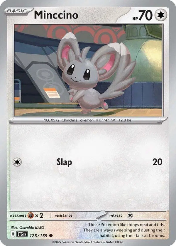 Minccino — Normal