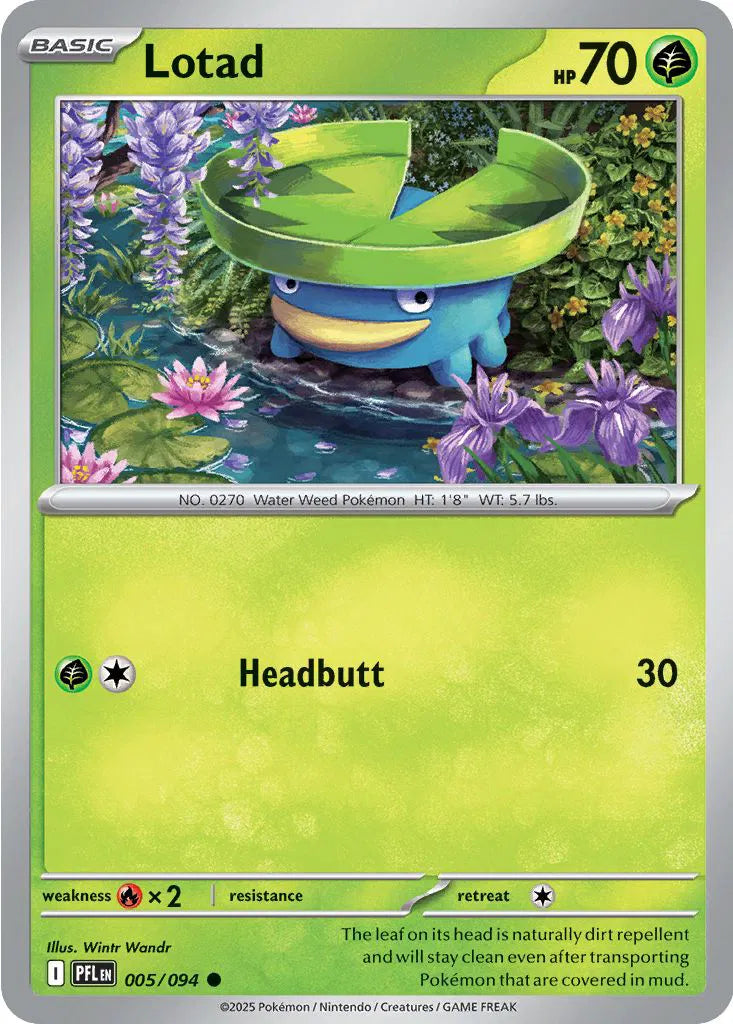 Lotad — Normal