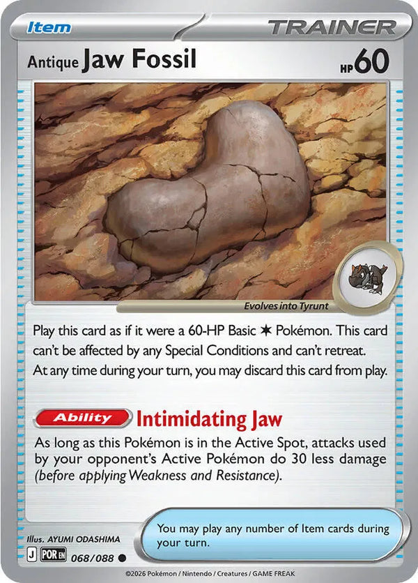 Antique Jaw Fossil — Normal
